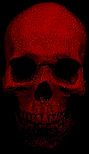 skull2.gif